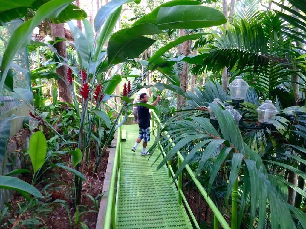 Phu Pha Nam Resort Dan Sai Exterior photo