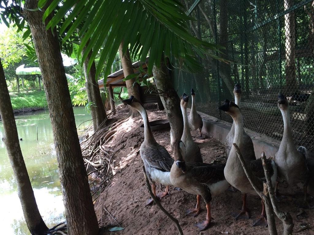 Phu Pha Nam Resort Dan Sai Exterior photo